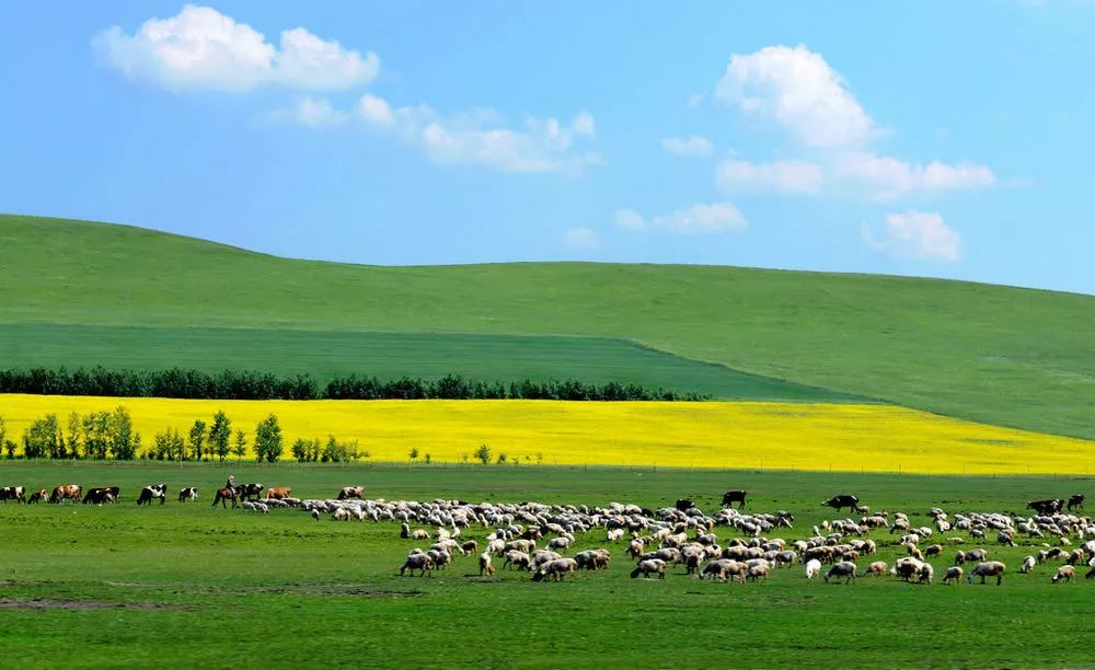 内蒙古,致敬领导与朋友们的盛会