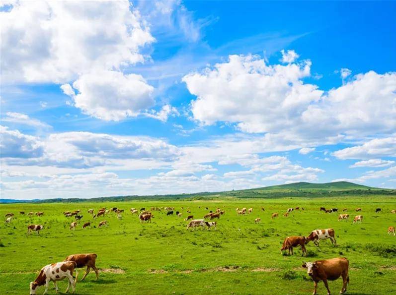 内蒙古,致敬领导与朋友们的盛会