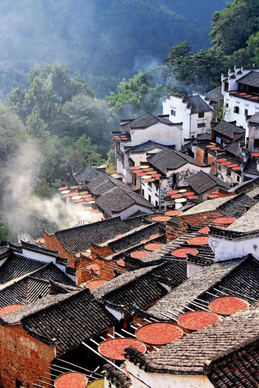 江西深巷寻宝,江西小巷深处,邂逅一家秘境小店