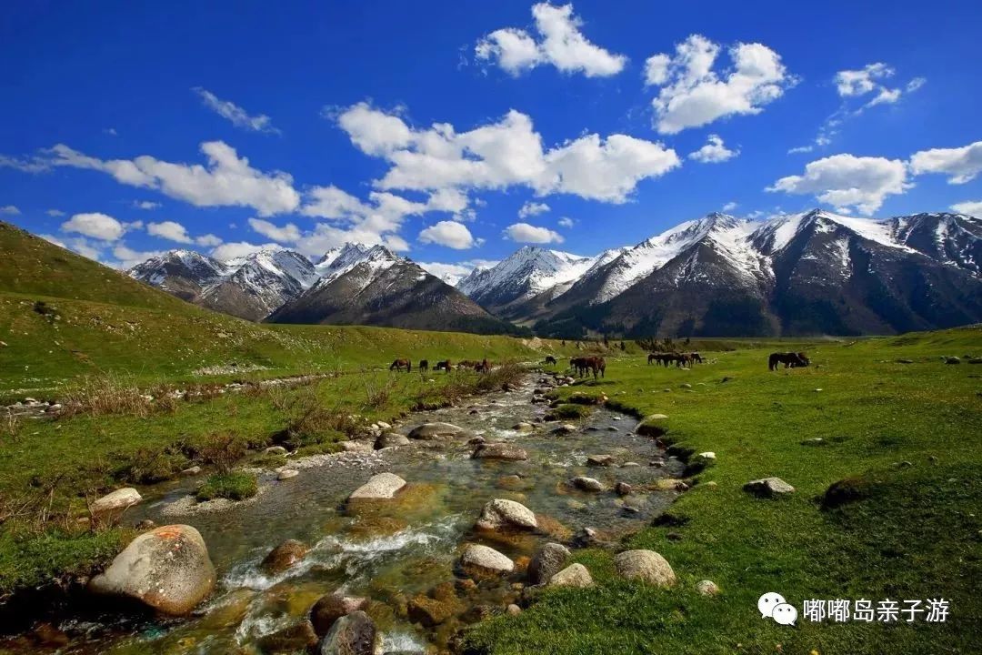 新疆,秘境之美与无限商机