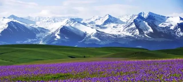 新疆,秘境之美与无限商机