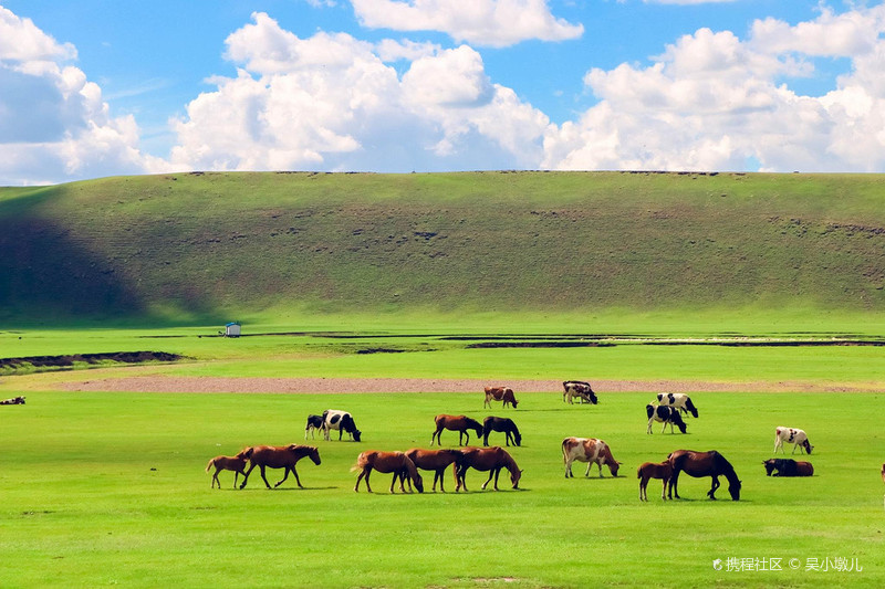 呼伦贝尔,科技之光照亮革新之旅