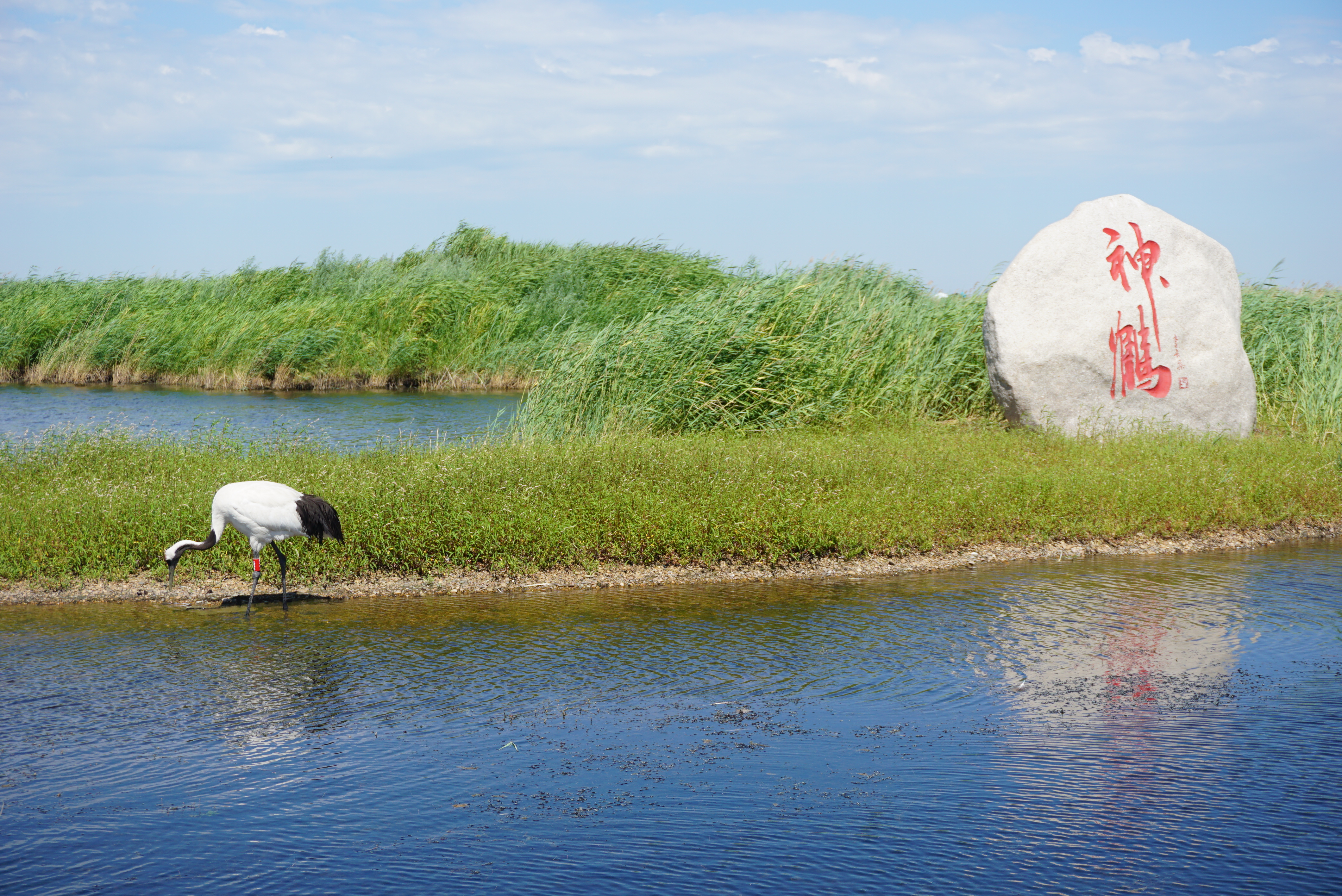 运城暖阳,日常生活的温馨时光