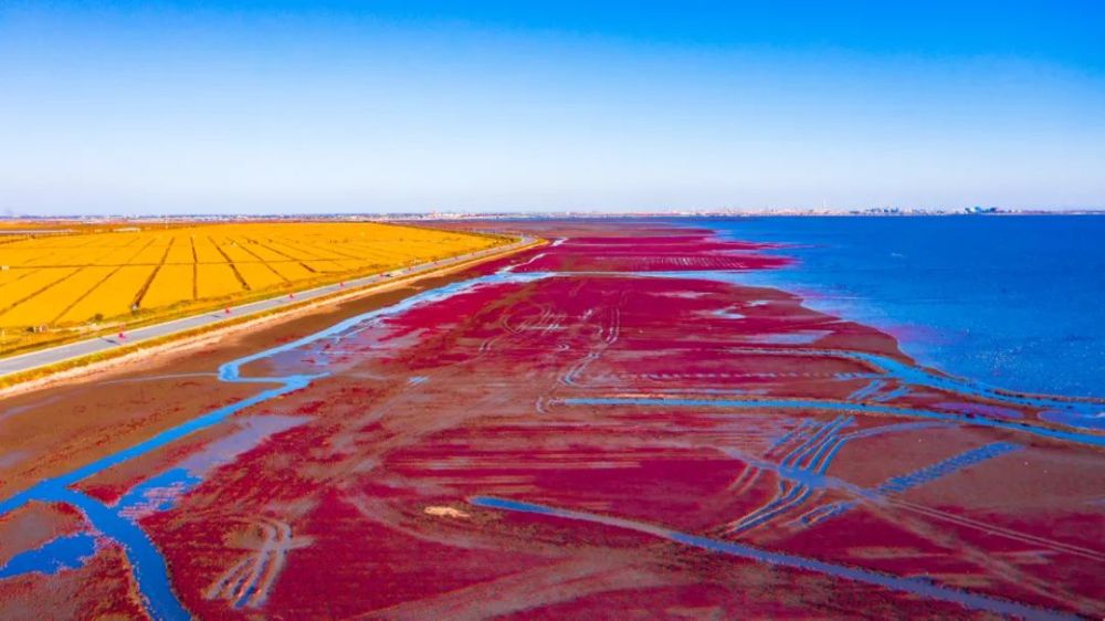 盘锦,地理、历史与文化的独特魅力