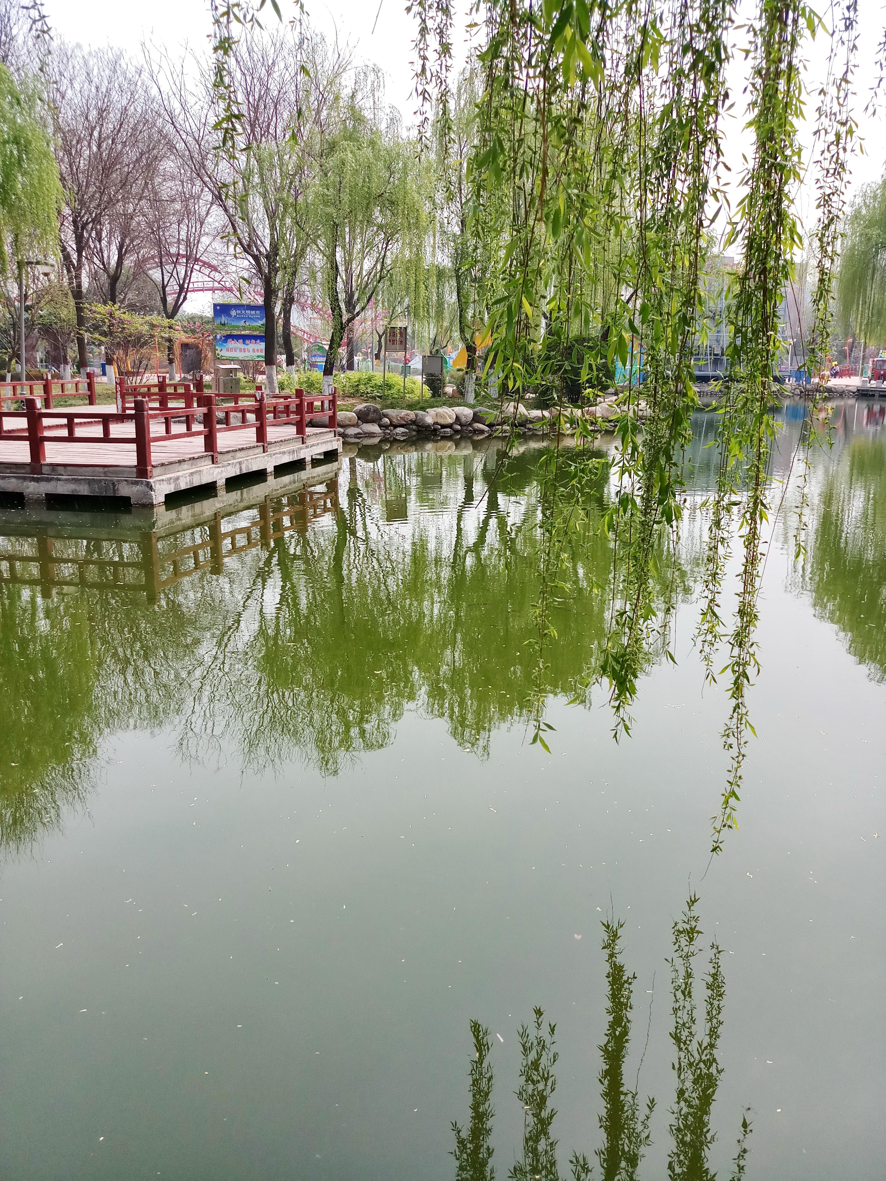 朝阳之下探寻小巷深处的独特美食秘境